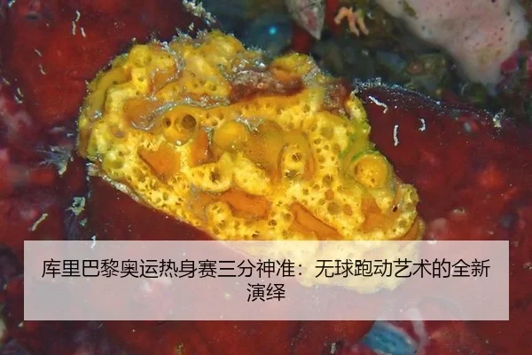 库里巴黎奥运热身赛三分神准：无球跑动艺术的全新演绎