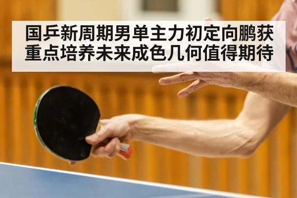 国乒新周期男单主力初定向鹏获重点培养未来成色几何值得期待